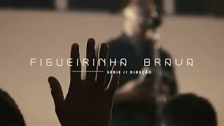 Figueirinha brava | Deive Leonardo