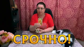 СРОЧНО! О ЧЕМ ХОТЯТ ПРЕДУПРЕДИТЬ ВЫСШИЕ СИЛЫ?