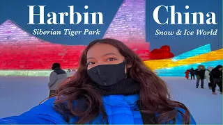 HARBIN CHINA VLOG2- SNOW & ICE WORLD , SIBERIAN TIGER PARK &. MORE