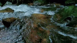 Sound of Flowing Water - Sound For Sleep, Nature Sounds, Relaxing Sound
