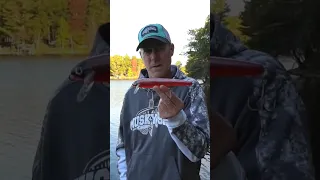 The 10 Inch Minnow Bait! By Big Fork