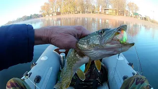 Жор щуки  на степном водоёме -  TINY MAGALLON .