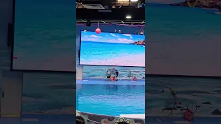 Dubai 🇦🇪Dolphinarium 🐬& Seal show🦭 part-1