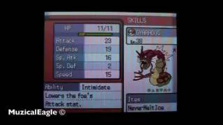 Pokemon SoulSilver Cheat 6: Check Your EV's & IV's