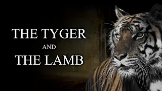 TYGER! TYGER! BURNING BRIGHT! - Powerful Poetry by William Blake