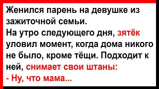 Зять с тёщей остались вдвоём дома... Анекдоты! Юмор! Позитив!