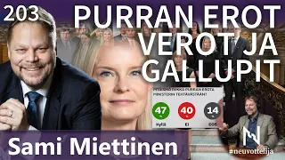 Purran ja ministerien erot verot ja gallupit Sami Miettinen #neuvottelija 203