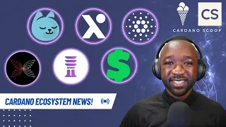 Cardano NEWS! Minswap Plutus Upgrades, $DJED Roadmap, AXO & ADAHandles Updates and More!