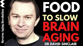 FOOD TO SLOW BRAIN AGING | Dr David Sinclair Interview Clips