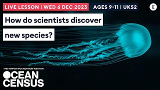 How do scientists discover new species?