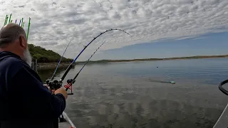 Doubled up catch, 23lb blue and a 13lb blue catfish. Fishing lake Keystone Oklahoma.