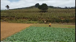 DE PAI PRA FILHO - Ivan Souza & Júlio César