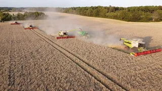 4 x Claas Lexion 8800 TT wheat harvest at Bregentved