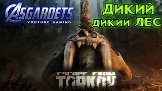 Дикий дикий ЛЕС!!! Тарков онлайн. EFT.Escape from Tarkov