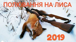 Полювання на лиса 2019р