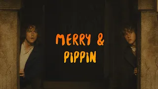 ✘ Merry and Pippin being chaotic for six minutes straight