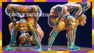 KURIOS - Hypnotique | Official Music Video | Cirque du Soleil