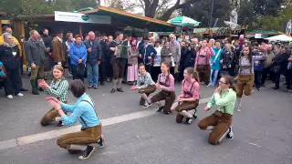 Austrian dance / Австрийский веселый танец