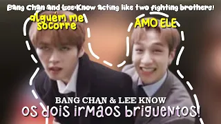 provando que o Bang Chan e o Lee Know agem como dois irmãos briguentos!