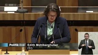 Edith Mühlberghuber - Familie - Budget 2017 - 23.11.2016