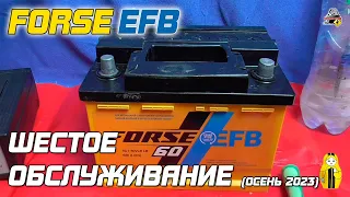 FORSE EFB - ШЕСТОЕ ОБСЛУЖИВАНИЕ (Осень 2023)