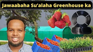 Jawaabaha Su’aalaha Greenhouse ka