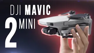 DJI MINI 2 | ЛУЧШИЙ квадрокоптер для БОЛЬШИНСТВА ??? | DJI Mavic MINI 2 обзор и распаковка