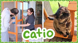 Building a Catio for the Kitties!