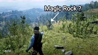 The Sinking Rocks In RDR2 (Magic Rocks Location) - Red Dead Redemption 2