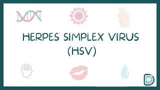 HERPES SIMPLEX VIRUS (HSV): ORAL MEDICINE AND ORAL PATHOLOGY