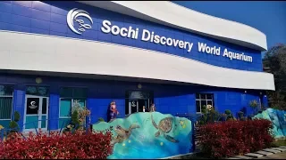 В Сочи на мотоцикле - Океанариум Sochi Discovery World Aquarium