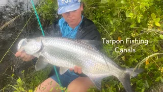 TARPON fishing canals with live MULLET