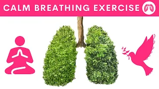 Breathing Exercises for Stress & Anxiety | How To Stop A Panic Attack | TAKE A DEEP BREATH