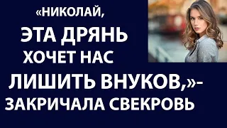 Истории из жизни Николай, эта дрянь хочет лишить нас внуков