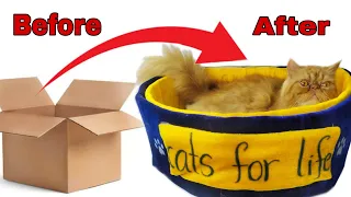 DIY CAT Bed from Cardboard BOX very easy ! How to make cat bed at home | how to make cat house easy