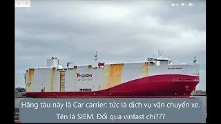 Binh Dang | Quan Điểm về Car Carrier Sơn logo Vinfast - Có đáng để Phô Trương?