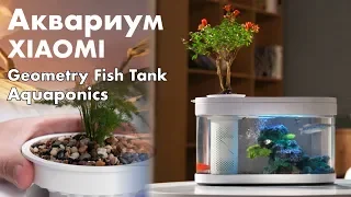 Акваферма - Xiaomi Geometry Fish Tank