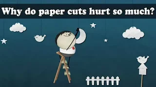 Why do paper cuts hurt so much? | #aumsum #kids #science #education #children