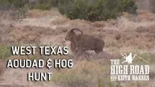 West Texas Aoudad & Hog Hunt | The High Road with Keith Warren