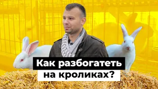 Один на миллион. Как единственный фермер-кроликовод Татарстана строит бизнес на селе