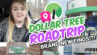 🤯 MIND-BLOWING *NEW* DOLLAR TREE FINDS | DOLLAR TREE ROADTRIP (searching for BRAND NEW Items!)