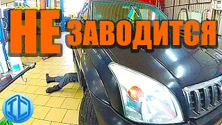 Легендарная надежность Toyota Prado 120 НЕ прошла проверку! Подарок подписчику