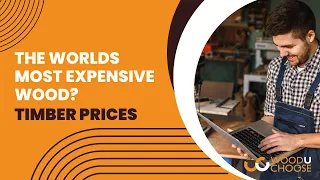 What are the most expensive woods in the world? | Top Ten Most Costly Wood | Wood Prices