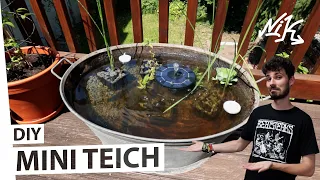 DIY - Miniteich anlegen | Kostenübersicht Balkon/Terrassen-Miniteich in Zinkwanne