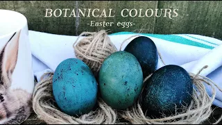 How to NATURAL DYE Easter Eggs with RED CABBAGE  | Naturally Dyed Blue Easter Eggs | CasaCaribe