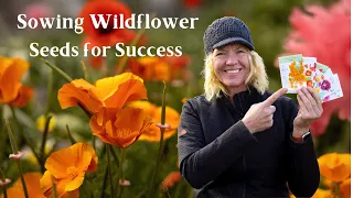 Sowing Wildflower Seeds With Success