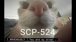 SCP Memes | #511