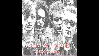 ADAM & THE ANTS : Decca Demos : UK Punk Demos