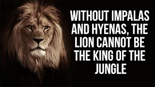 Ancient African PROVERBS About The Lion