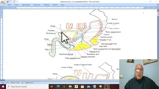 Trauma in Arabic 37 ( Intra-pelvic Injury of Urethra  ) , by Dr. Wahdan .